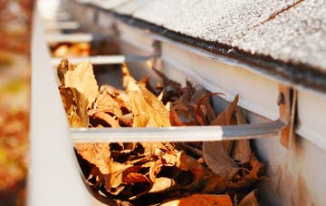 Aylburton Common gutter cleaning companies